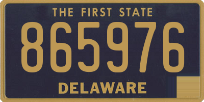 DE license plate 865976