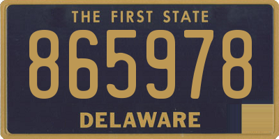 DE license plate 865978