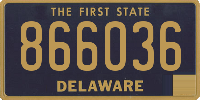 DE license plate 866036