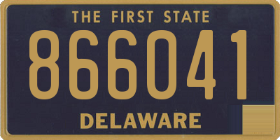 DE license plate 866041