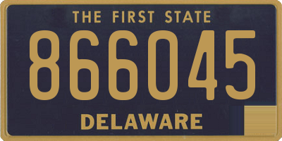 DE license plate 866045