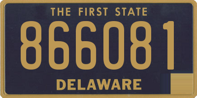 DE license plate 866081