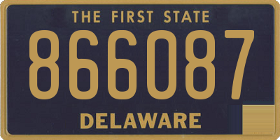 DE license plate 866087