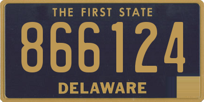 DE license plate 866124