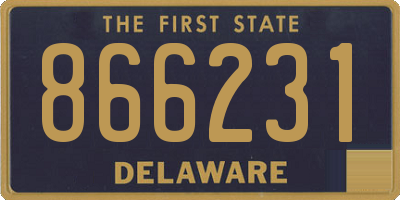 DE license plate 866231