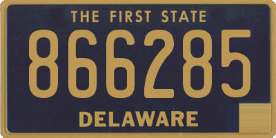 DE license plate 866285