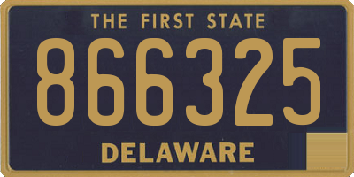 DE license plate 866325