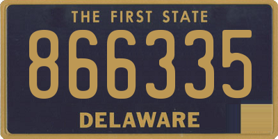 DE license plate 866335