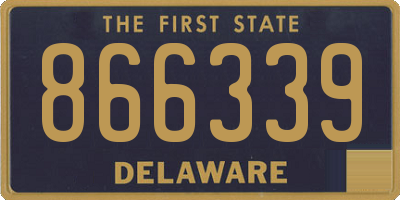 DE license plate 866339