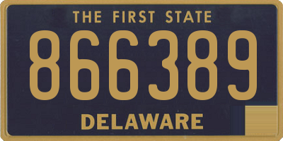 DE license plate 866389
