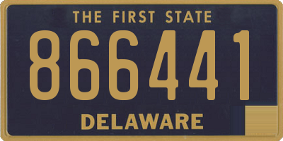 DE license plate 866441