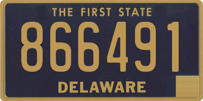 DE license plate 866491