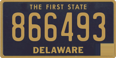 DE license plate 866493