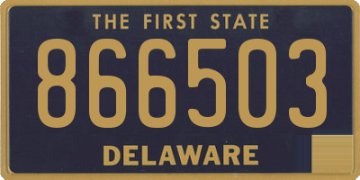 DE license plate 866503