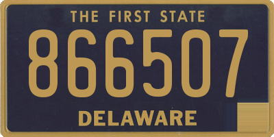 DE license plate 866507