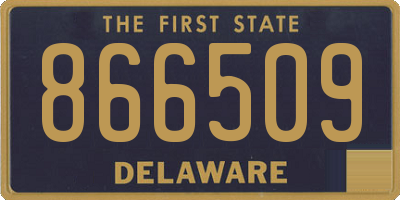 DE license plate 866509