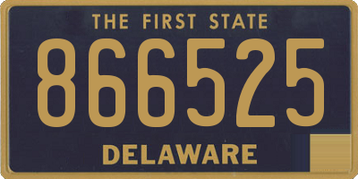 DE license plate 866525