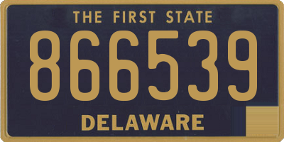 DE license plate 866539