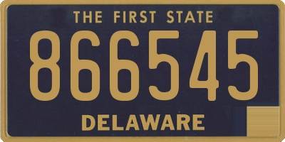 DE license plate 866545