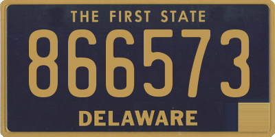 DE license plate 866573