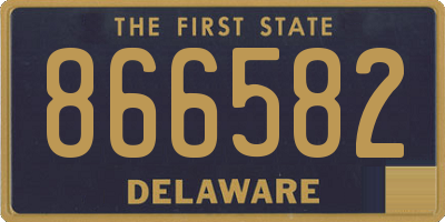 DE license plate 866582