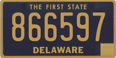 DE license plate 866597