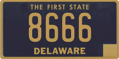DE license plate 8666