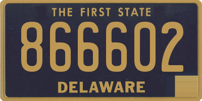 DE license plate 866602