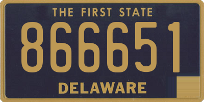 DE license plate 866651