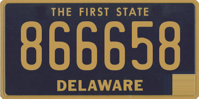 DE license plate 866658