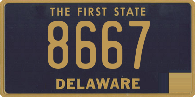 DE license plate 8667
