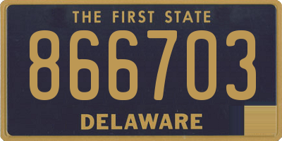 DE license plate 866703