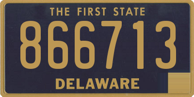 DE license plate 866713