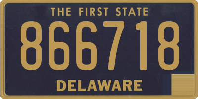 DE license plate 866718