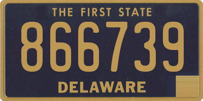 DE license plate 866739