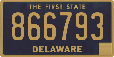 DE license plate 866793