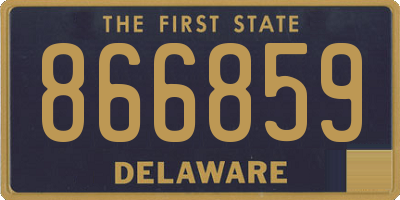 DE license plate 866859