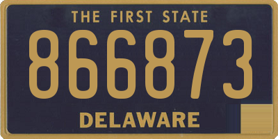 DE license plate 866873