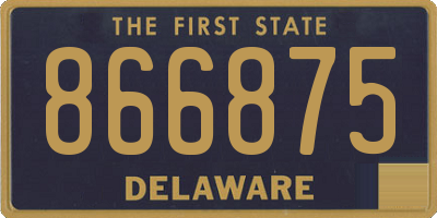 DE license plate 866875