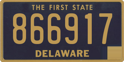 DE license plate 866917