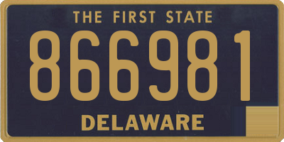 DE license plate 866981