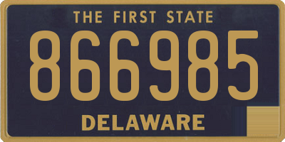 DE license plate 866985