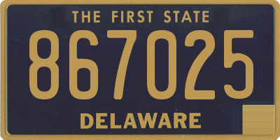 DE license plate 867025