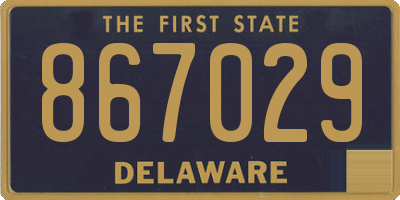 DE license plate 867029