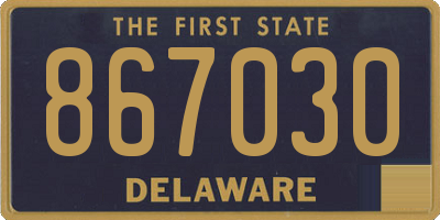 DE license plate 867030