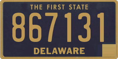 DE license plate 867131