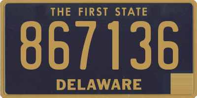 DE license plate 867136