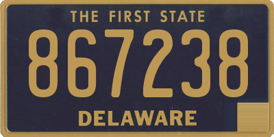 DE license plate 867238