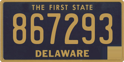 DE license plate 867293