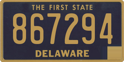 DE license plate 867294